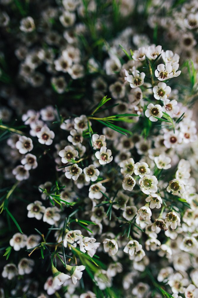 Home Flora